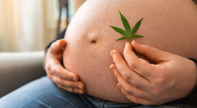 Let's Celebrate Mothers Every Day with CBD for their Health