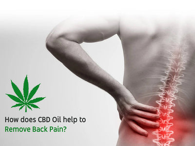 Discover the Soothing Power of CBD for Back Pain and Inflammation Relief