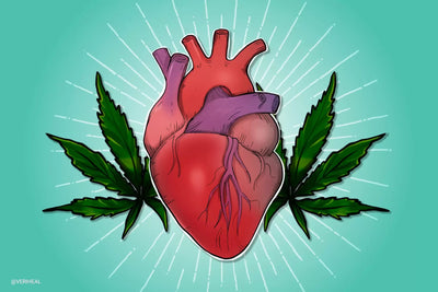 CBD: Your Heart's New Best Friend - Unlocking the Potential for Cardiovascular Health