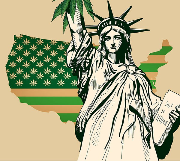 Exploring the Connection Between CBD and Freedom